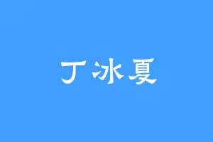 丁冰夏