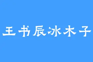 王书辰冰木子