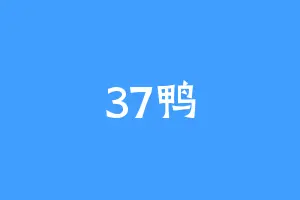 37鸭