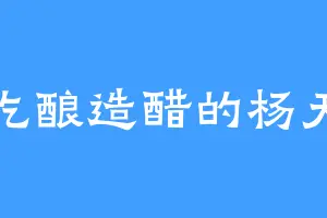 爱吃酿造醋的杨天便