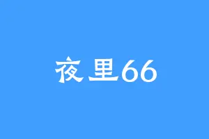 夜里66