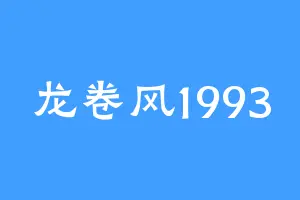 龙卷风1993