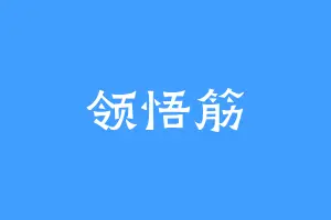 领悟筋