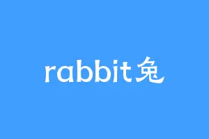 rabbit兔