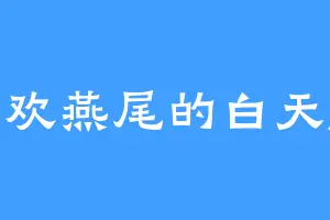 喜欢燕尾的白天麒