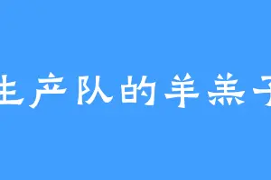 生产队的羊羔子