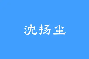 沈扬尘