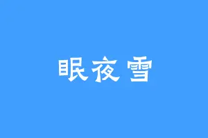 眠夜雪