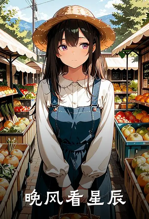 苏晚陆星辞(晚风看星辰)全文免费在线阅读_晚风看星辰完整版免费在线阅读