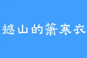 撼山的箫寒衣