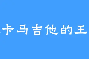 喜欢卡马吉他的王老爷