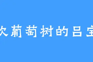 喜欢葡萄树的吕宝瑜