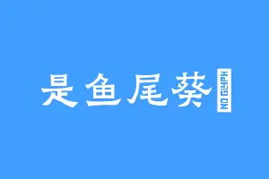 是鱼尾葵欸