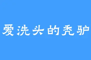 爱洗头的秃驴