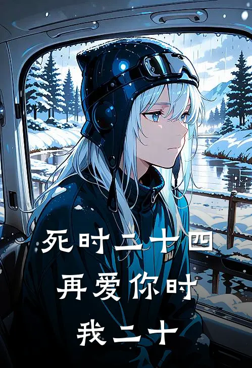 死时二十四，再爱你时我二十(傅北辰沈念)最新完本小说推荐_免费小说推荐死时二十四，再爱你时我二十傅北辰沈念
