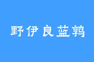 野伊良蓝鹑