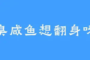 臭咸鱼想翻身呀