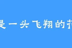 我是一头飞翔的花猪