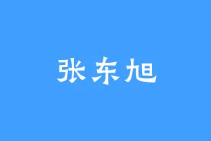 张东旭