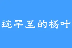 人迹罕至的杨叶道