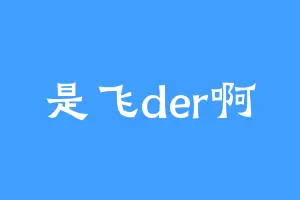 是飞der啊