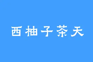 西柚子茶天