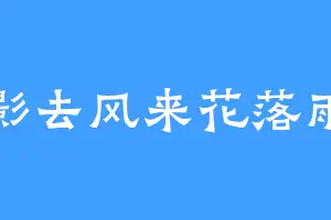 影去风来花落雨