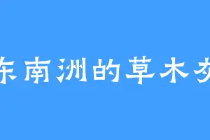 东南洲的草木灰