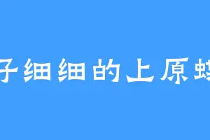 仔仔细细的上原蝶子