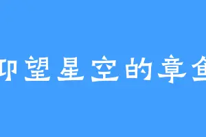 仰望星空的章鱼