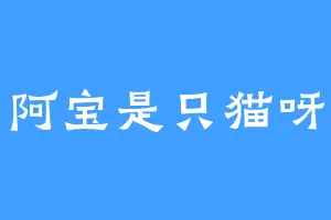 阿宝是只猫呀