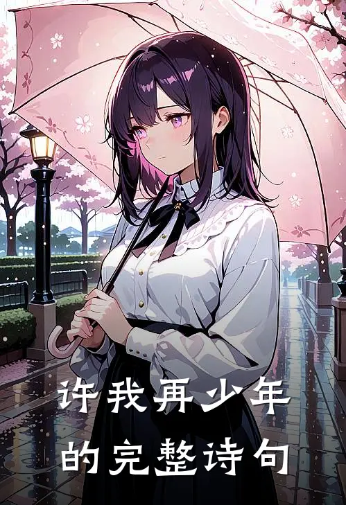 许我再少年的完整诗句