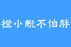 橙小鲵不怕胖