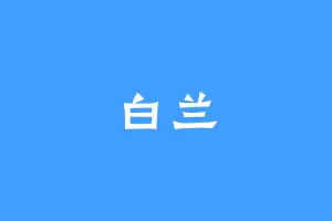 白兰
