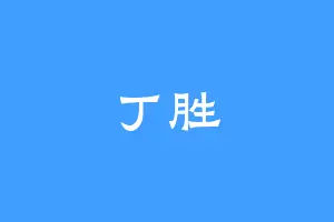 丁胜