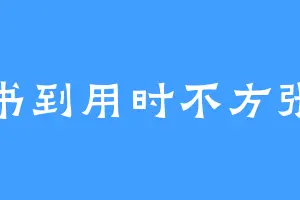 书到用时不方张