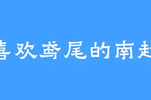 喜欢鸢尾的南超