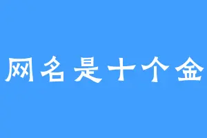 网名是十个金