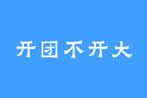 开团不开大
