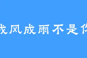 成风成雨不是你