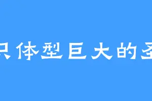 一只体型巨大的圣母