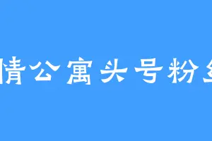 爱情公寓头号粉丝v
