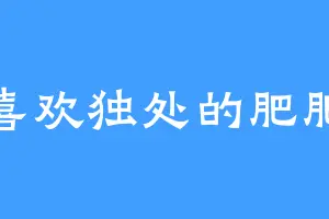 喜欢独处的肥肥