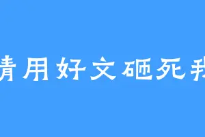 请用好文砸死我