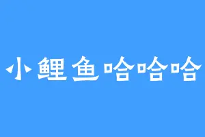 小鲤鱼哈哈哈