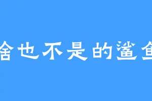 啥也不是的鲨鱼