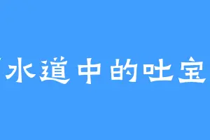 下水道中的吐宝鼠