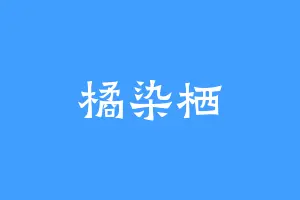 橘染栖