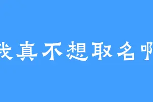 我真不想取名啊