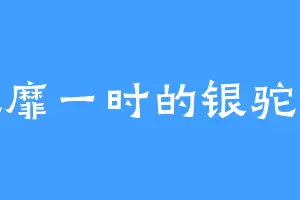 风靡一时的银驼峰